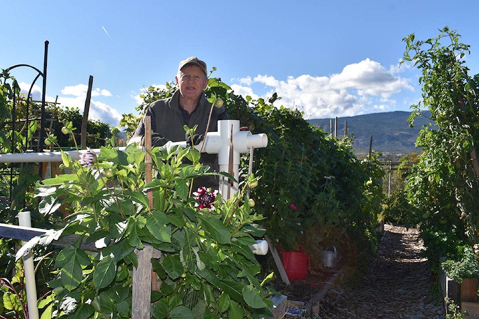 Dennis is the 2021 president of the Penticton Community Garden on Vancouver Hill. Penticton city council just renewed their lease for another 3 years. (Monique Tamminga Western News)