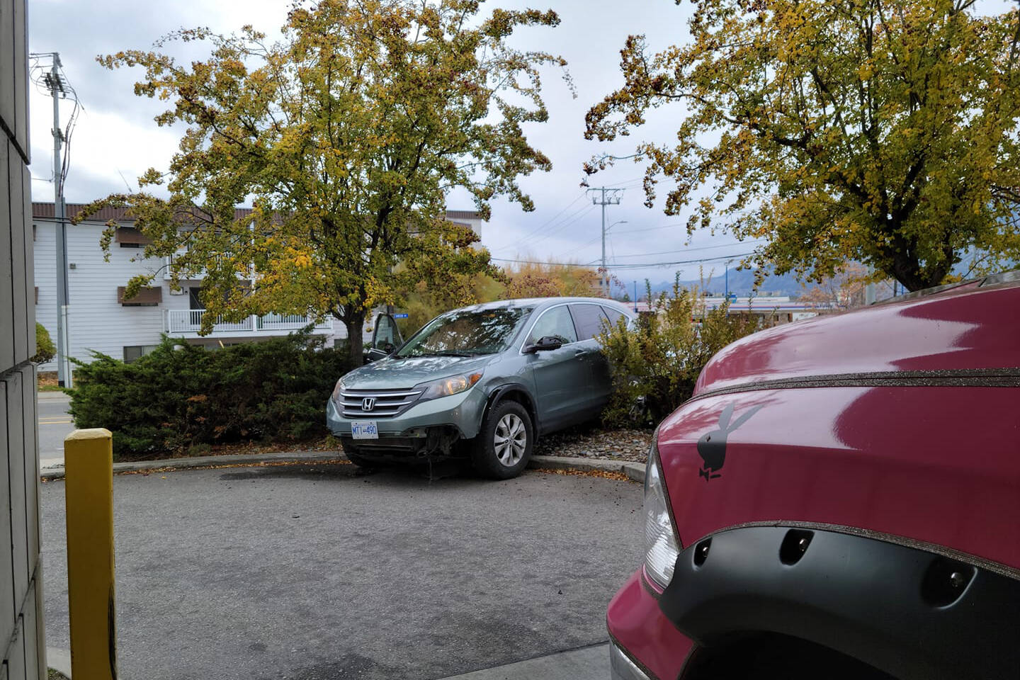 This Honda SUV was left in the bushes at the TD Bank drive thru. (Michelle Prystay Facebook)