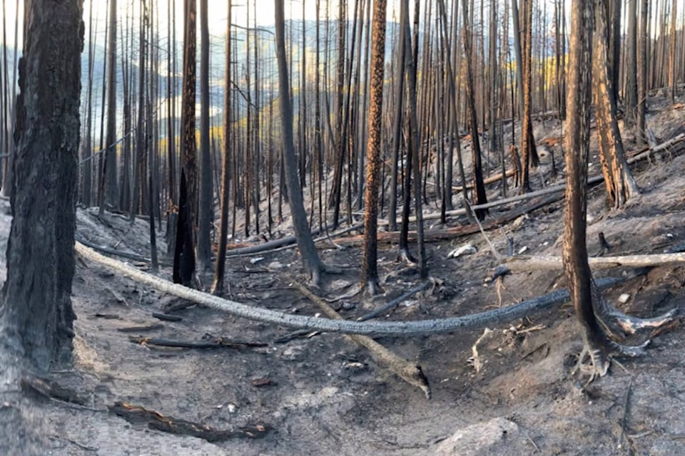 27997866_web1_211215-SAA-Sicamous-debris-flow-meeting_1