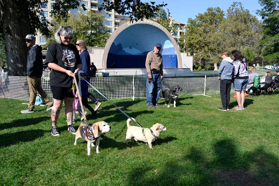 Pets in the Park was furry-friendly fun at Gyro Park on Sunday. (Monique Tamminga Western News)