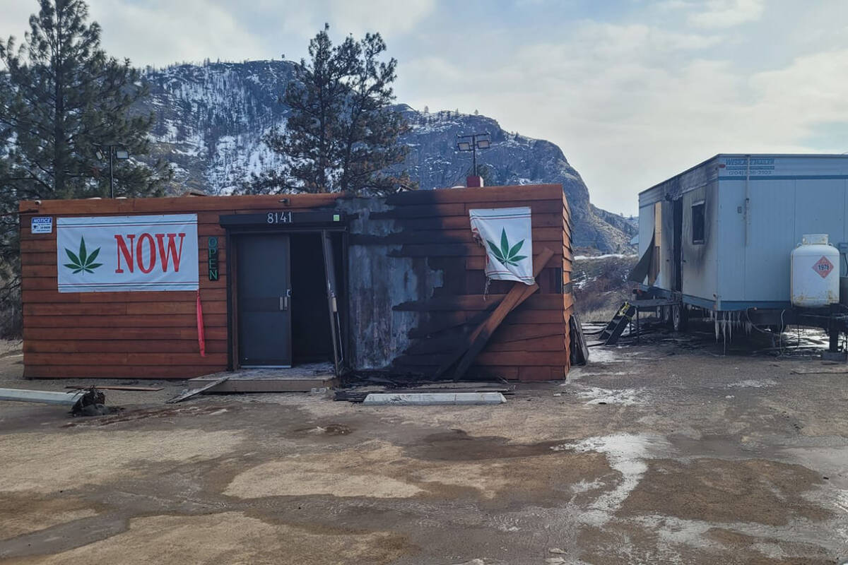 Oliver’s Pot Doctor gets visit from cannabis law enforcement unit Penticton Western News