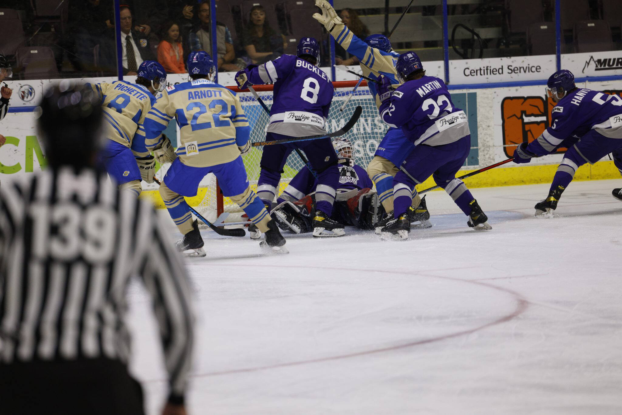 salmon arm silverbacks