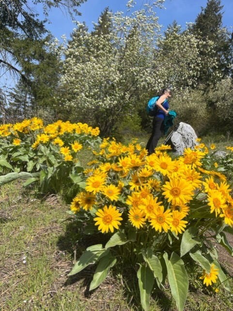 32555509_web1_230427-VMS-flower-column-sunflowers_2