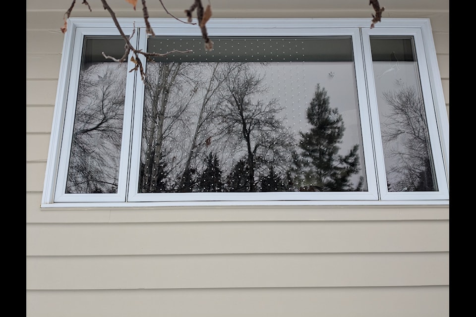 An example of a bird-friendly window covering.