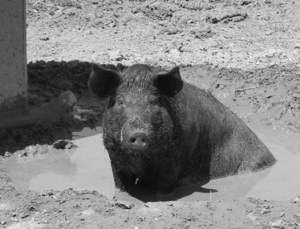 web1_AgrinewsJune221BW