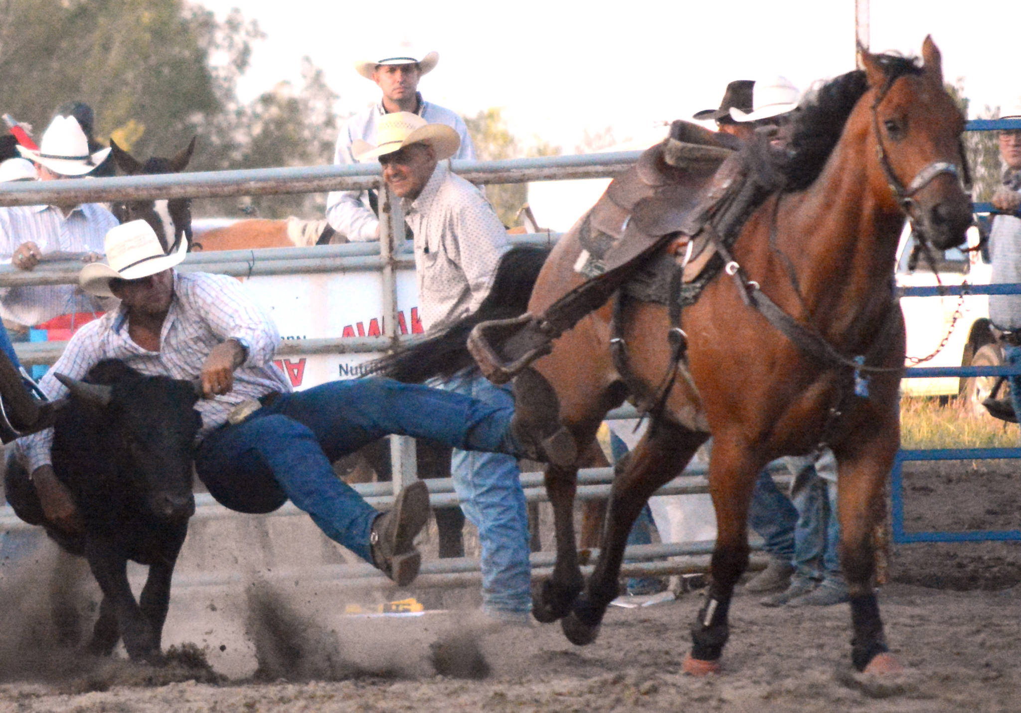 12920739_web1_lj-BV-Rodeo-Gaulet-F-4_9-7240