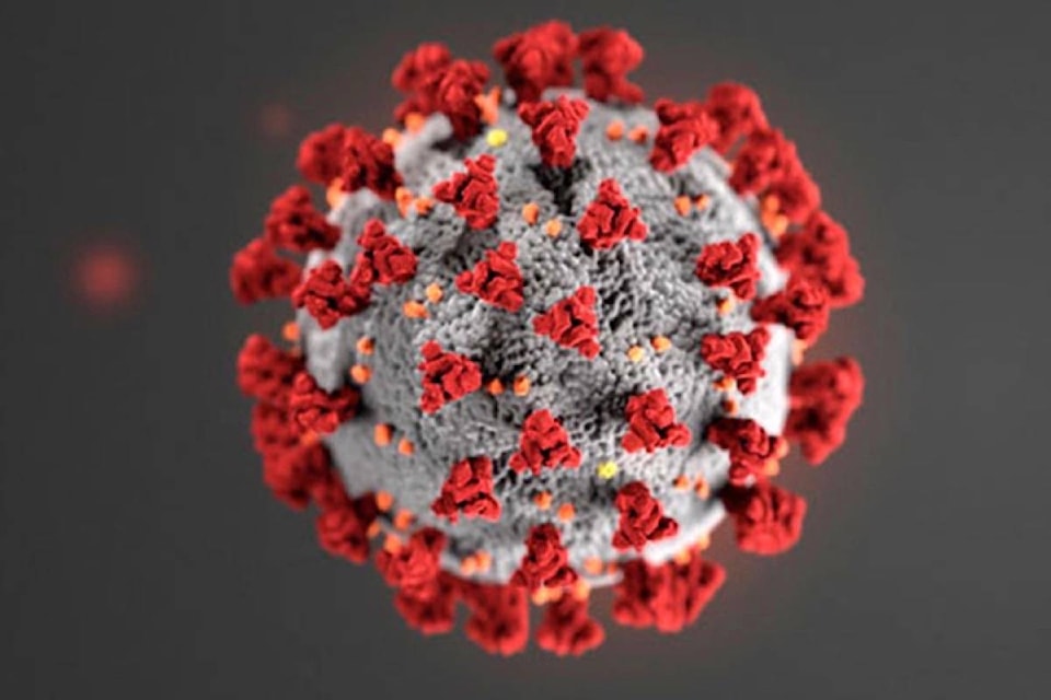 24007760_web1_201221-RDA-Canada-restricts-travel-from-U.K.-due-to-new-strain-of-virus-that-causes-COVID-19-coronavirus_1