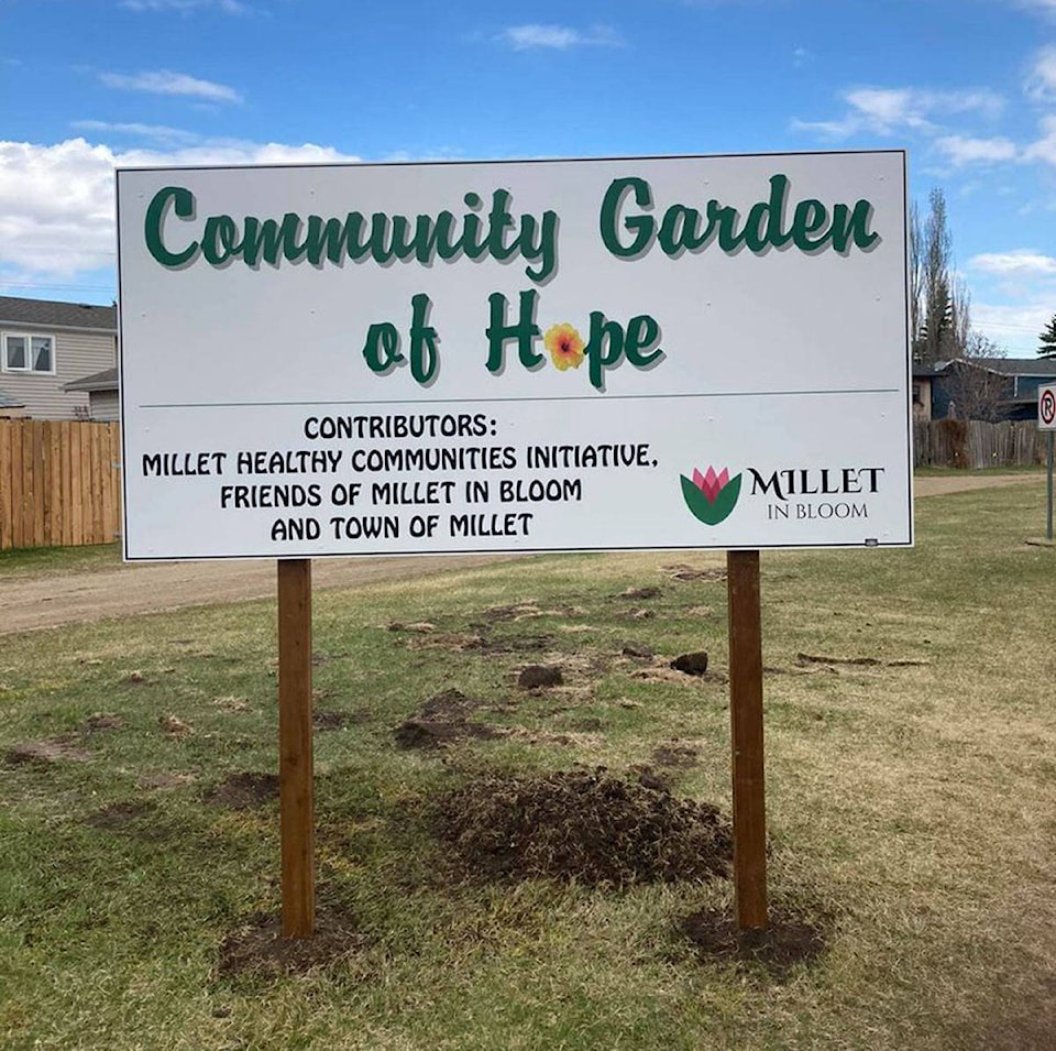 25191163_web1_210520-WPF-communitygarden_2