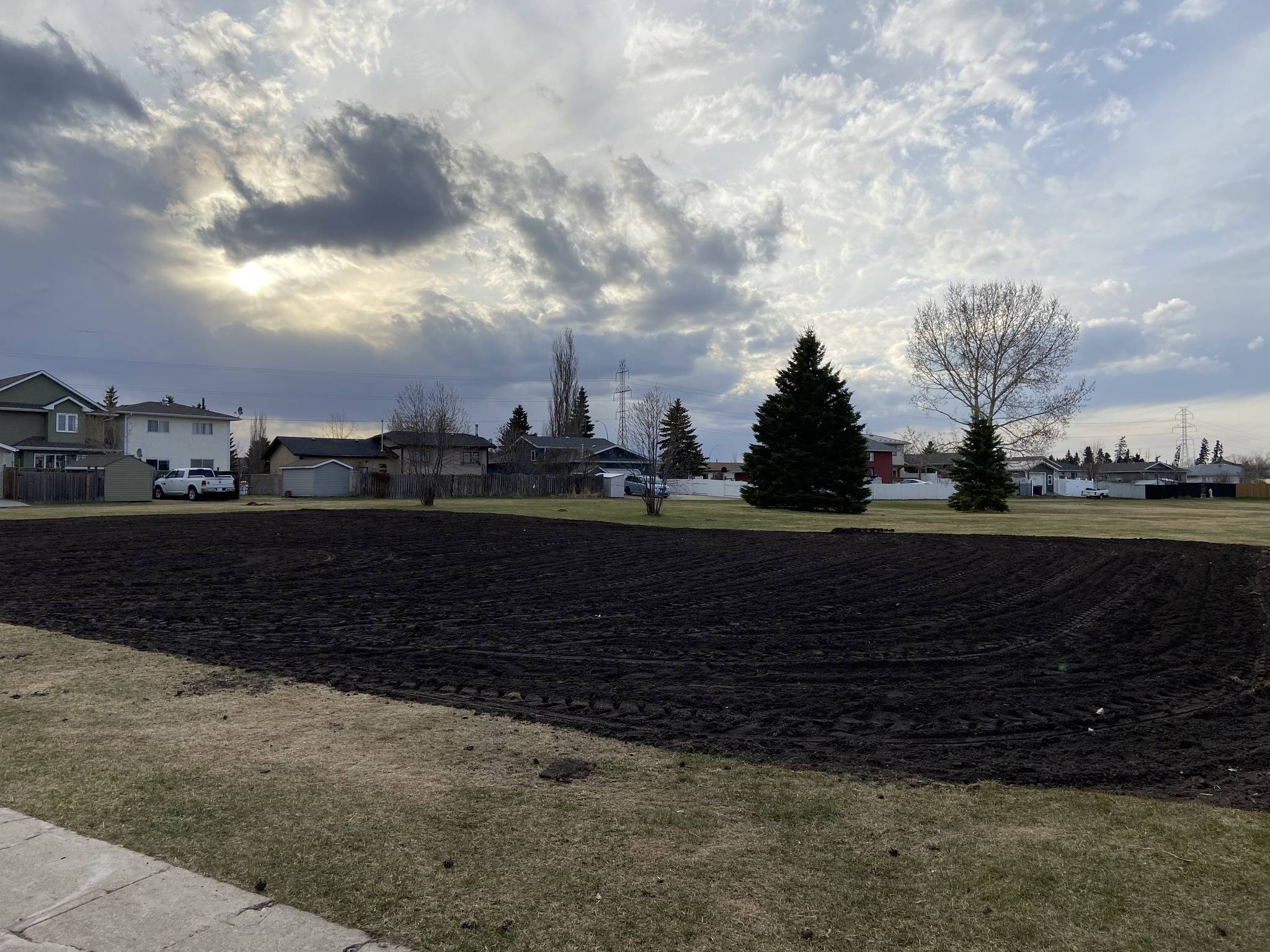 25191163_web1_210520-WPF-communitygarden_3