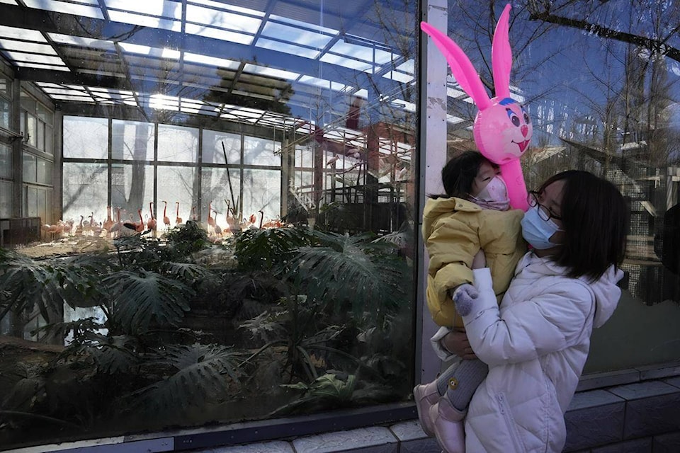 A woman and child wearing masks to protect from the coronavirus stand near the enclosure for flamingos at the zoo on the first day of the Chinese Lunar Year of the Tiger in Beijing, China, Tuesday, Feb. 1, 2022. (AP Photo/Ng Han Guan)