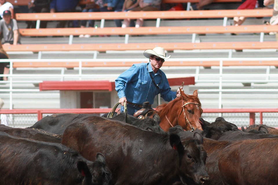 29321565_web1_180620-PON-stampede-cattle-raffle_1