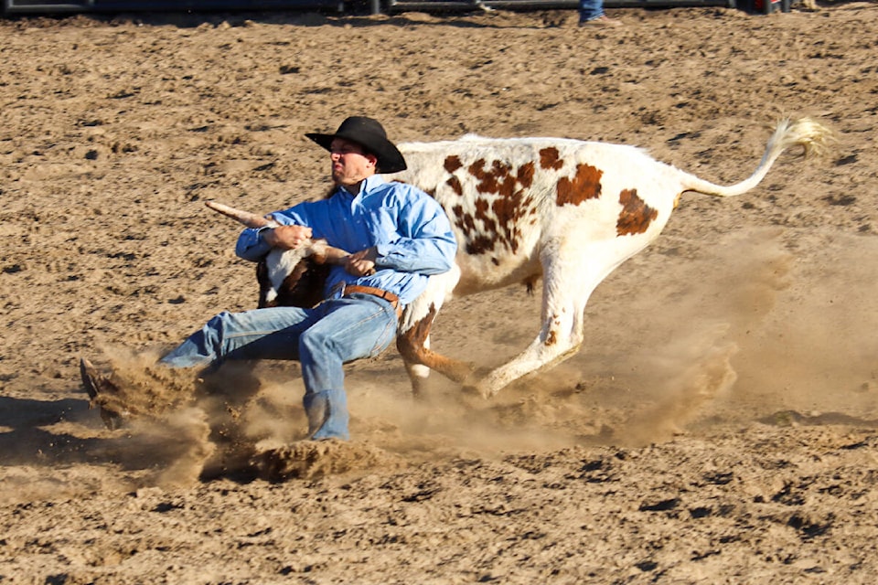 Scott Sigfusson of Tugaske, Sask, wrestles the steer with a time of 10.3 seconds, good enough for third place in the June 11 competition. (Kevin Sabo/Stettler/Independent)
