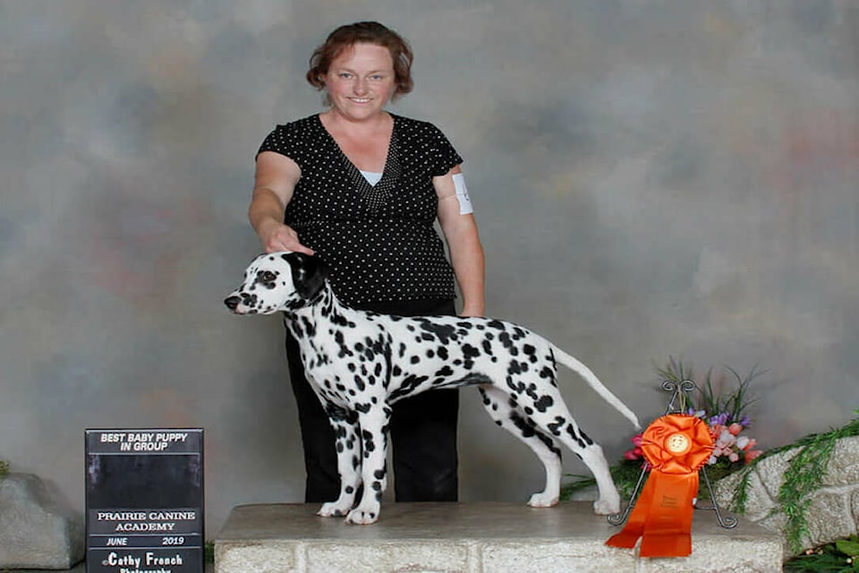 33657002_web1_230831-WPF-Dog-Trainer-1_1