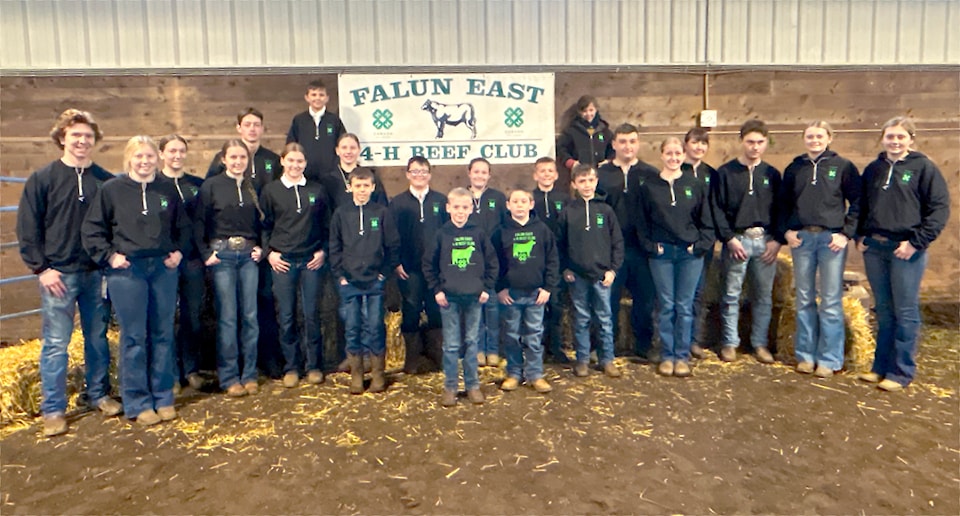 falun4h