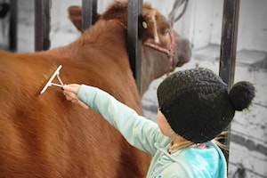 Ponoka 4-H Show and Sale coming up in May