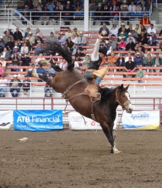 13429ponokaweb-rod-hay