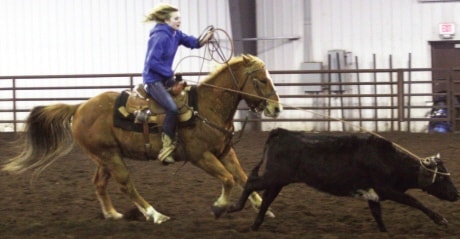 89714ponokaSteerRoping