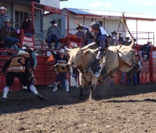 18909ponokahsr-wacey-bulls3-4