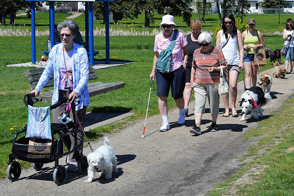 web1_170607-PON-walk-guide-dogs1