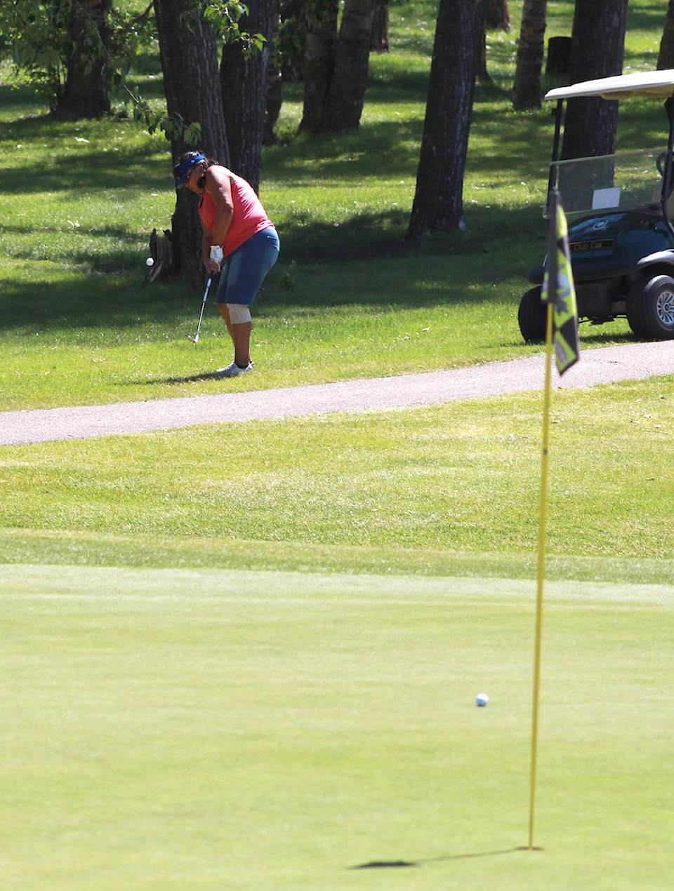 web1_170628-PON-ladies-golf-ponoka_1