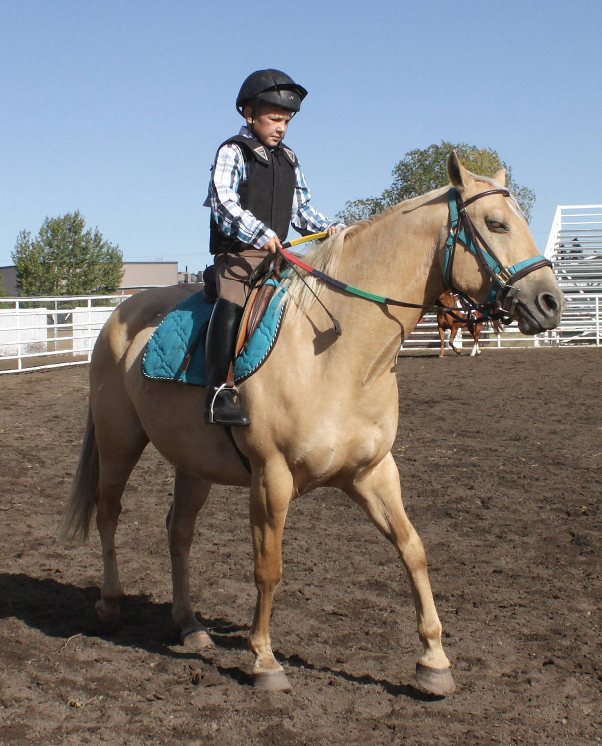 Young horse riders converge on Bashaw’s ag grounds
