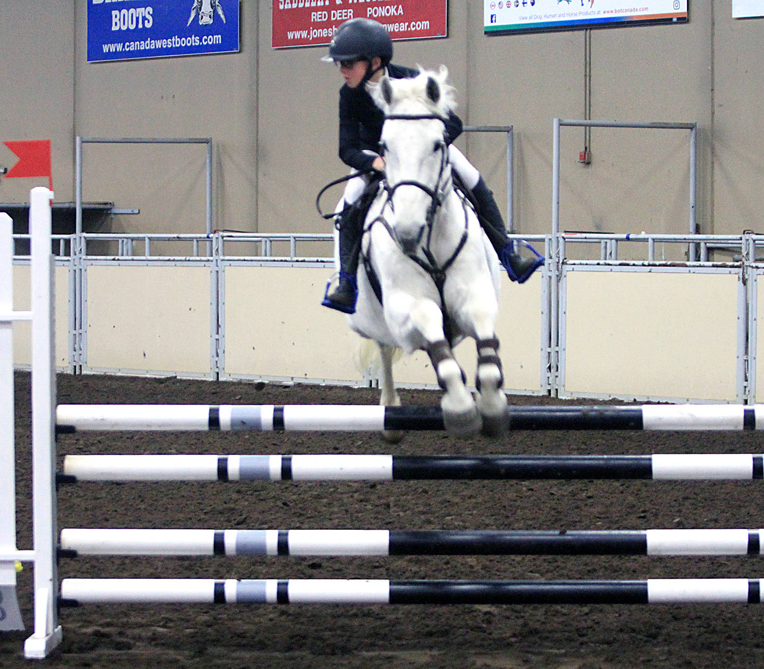 9481889_web1_171129-PON-showjumping_7