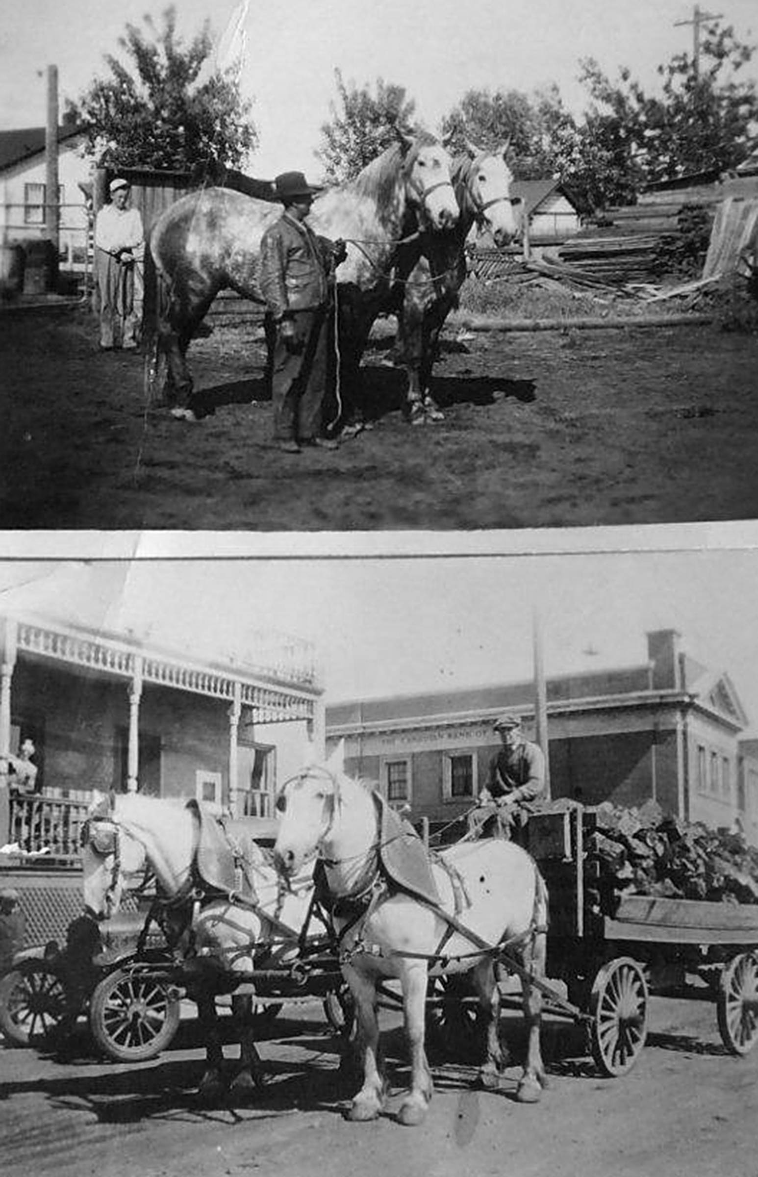 Reflections Looking at the first days of the Ponoka Stampede Ponoka News