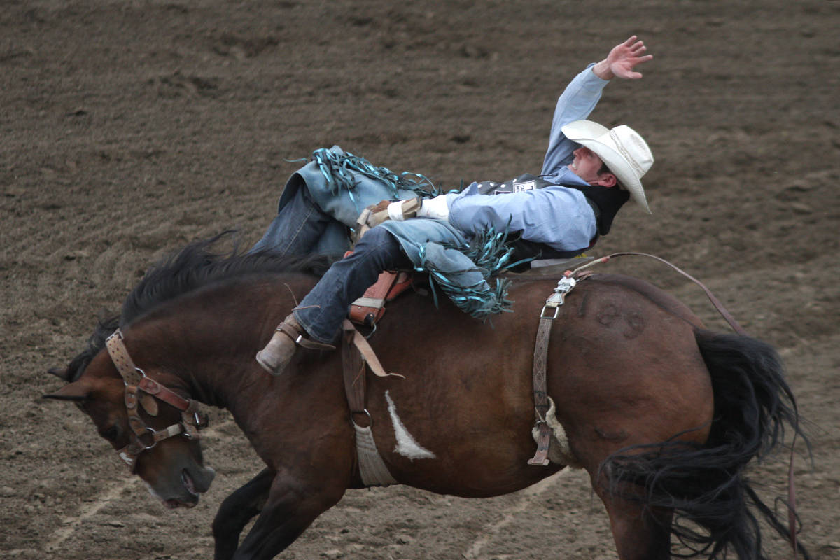 12498570_web1_180704-PON-stampede-day1_1