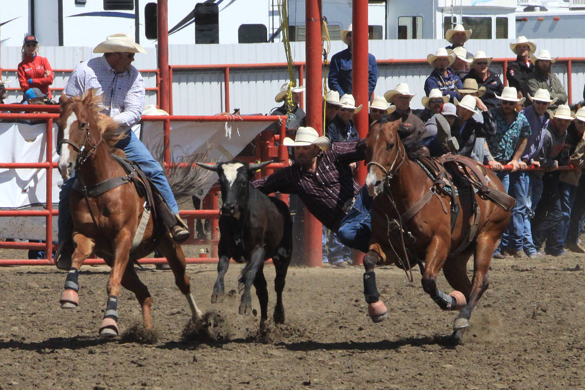 12569481_web1_180704-PON-stampede-best-photos_5