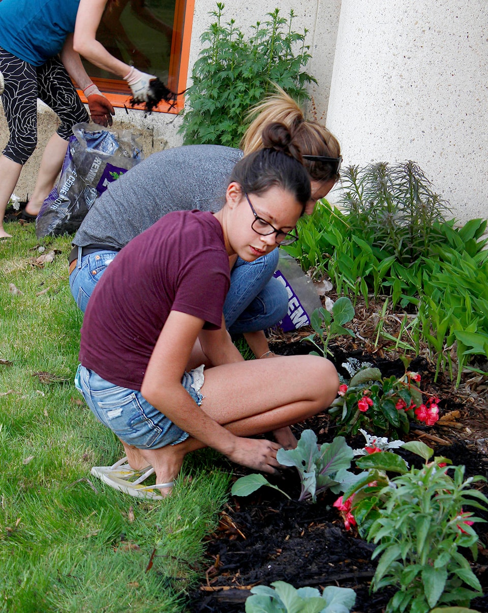 17066082_web1_HospitalSpringPlanting_1