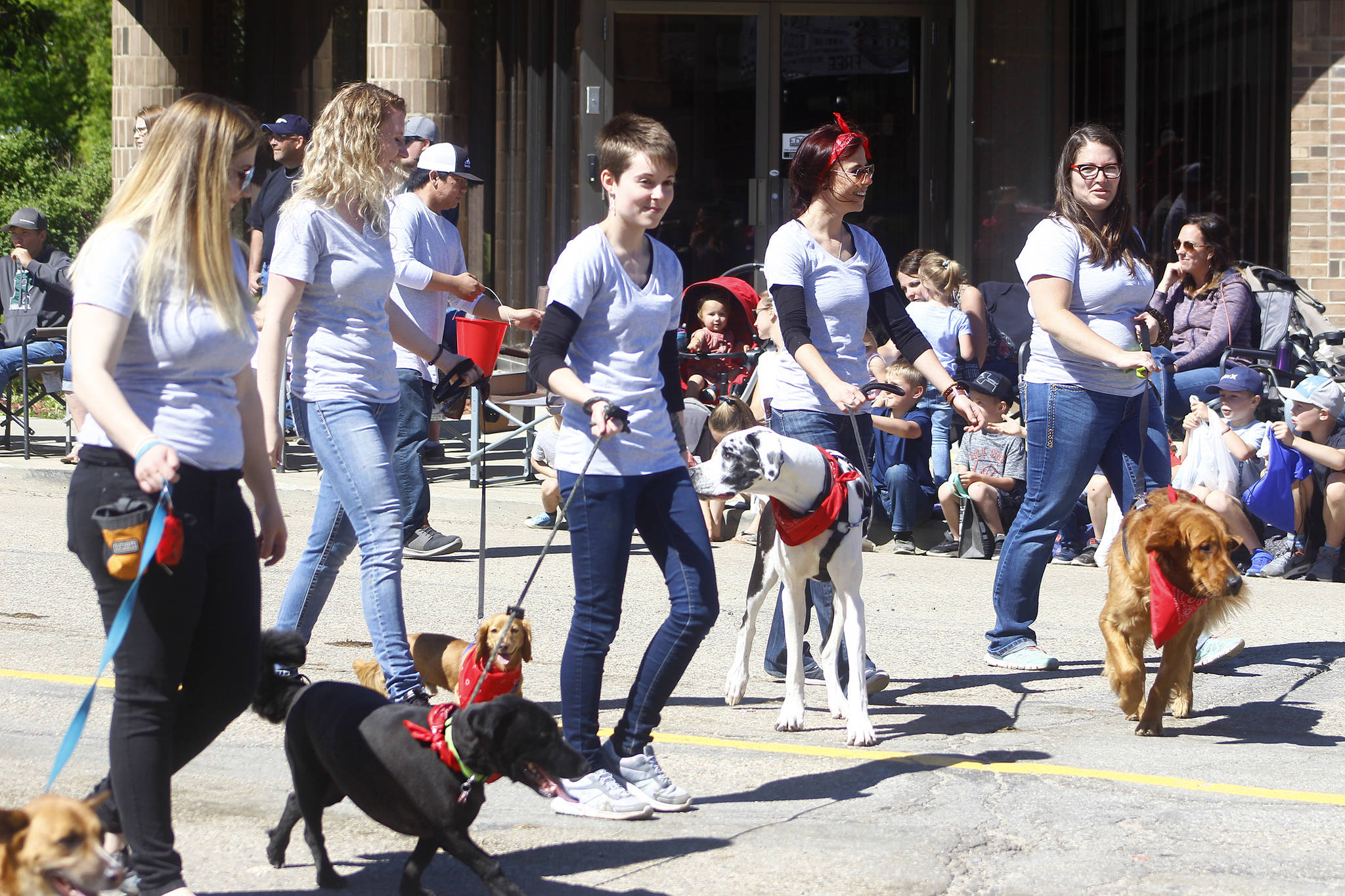 Premier Jason Kenney led the Ponoka Stampede parade Ponoka News