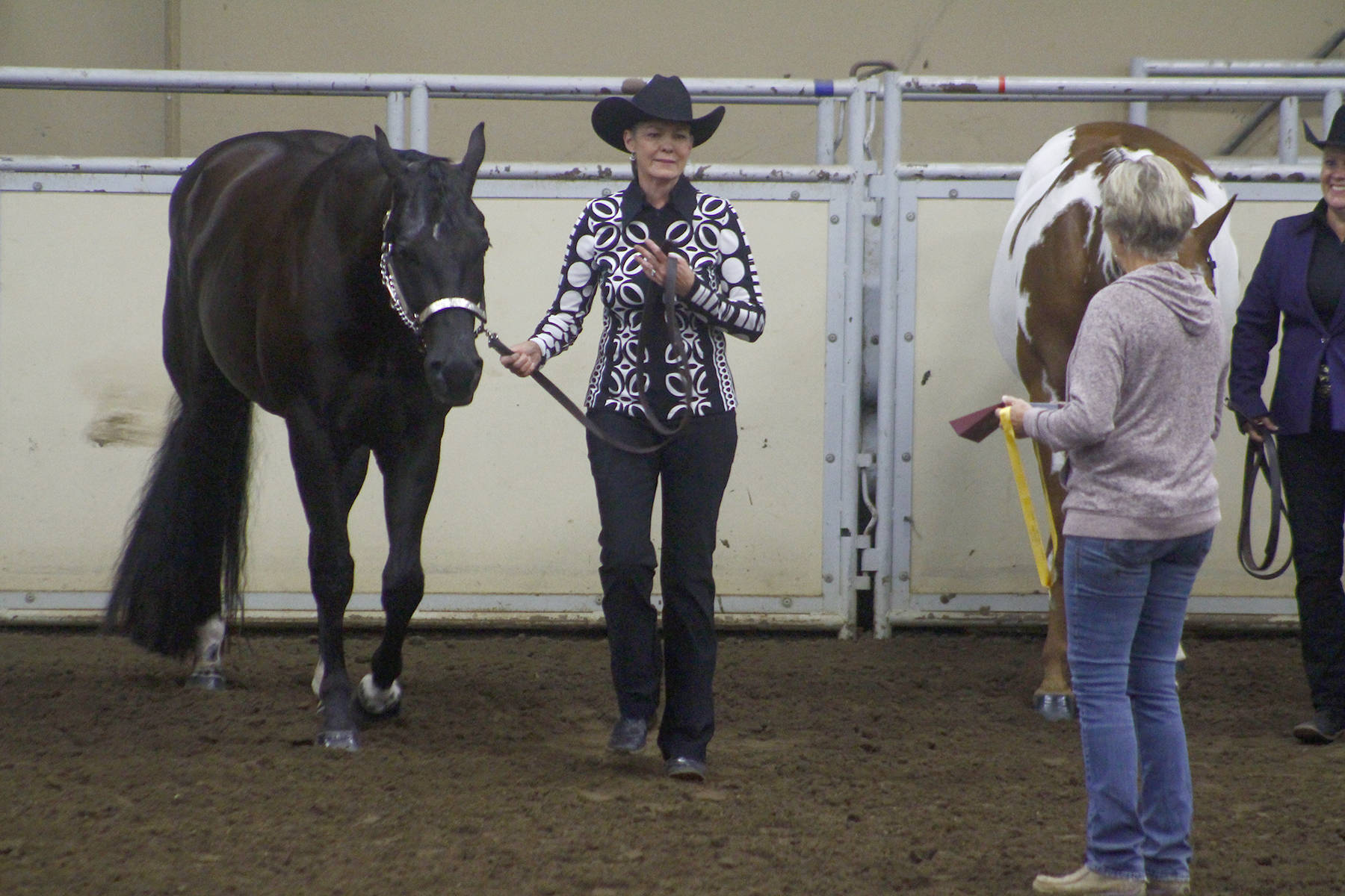 PHOTOS Zone 10 ZoneORama Paint Horse Show Ponoka News