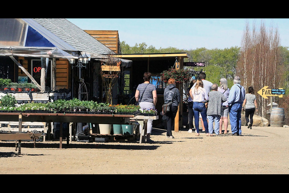 Opening up: Ponoka’s Bobtail Nursery had a nice sized line up on May 16 as many locals may have been working on their yards and gardens over the May long weekend. Photos by Jordie Dwyer