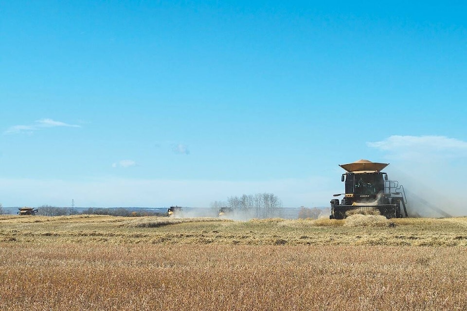 26465325_web1_191021-RDA-food-grains-harvest_1