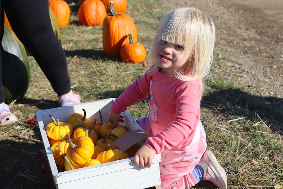 30577749_web1_221005-PON-Pumpkin-patch_1