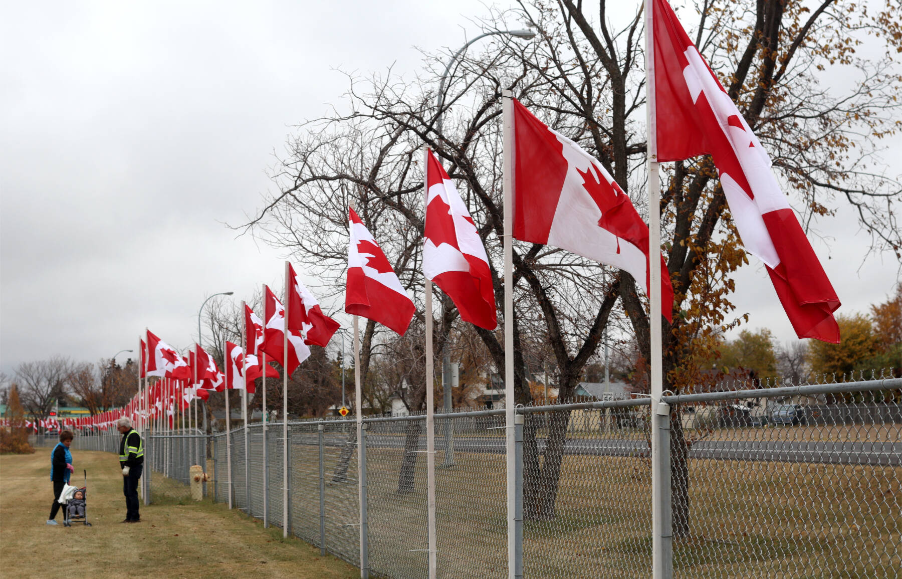 30791926_web1_221026-PON-Canadian-flags_4