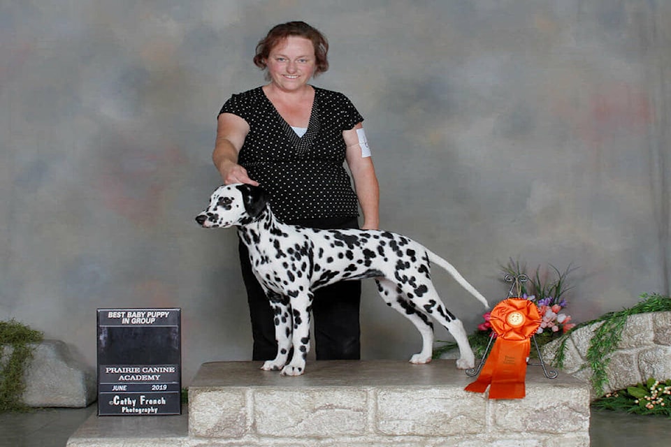 33790775_web1_230831-WPF-Dog-Trainer-1_1