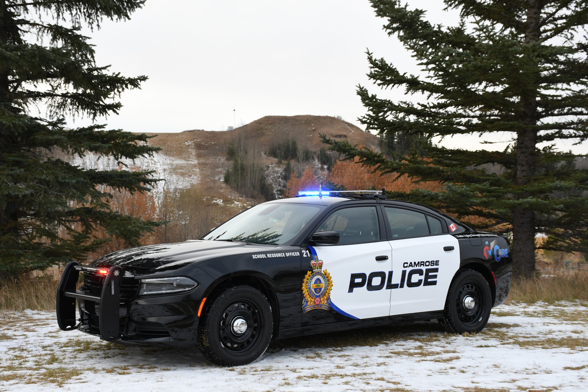 RCMP, Camrose police arrest wanted man