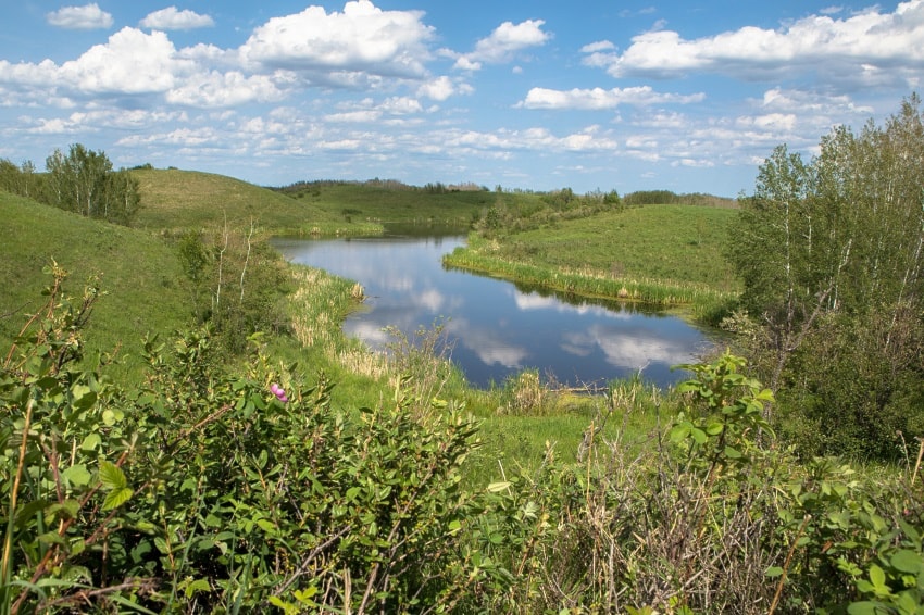 Ponoka, Camrose counties receiving funds to restore wetlands