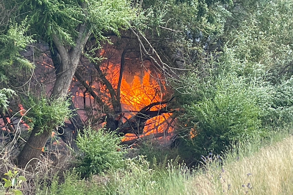 A brush fire erupted off MacKenzie Road in North 鶹ѡ on June 14. Crews are currently on scene facing windy conditions. 