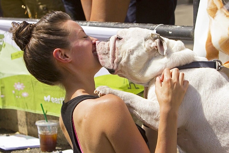 Day of the Dog is fun for dogs and their humans alike.