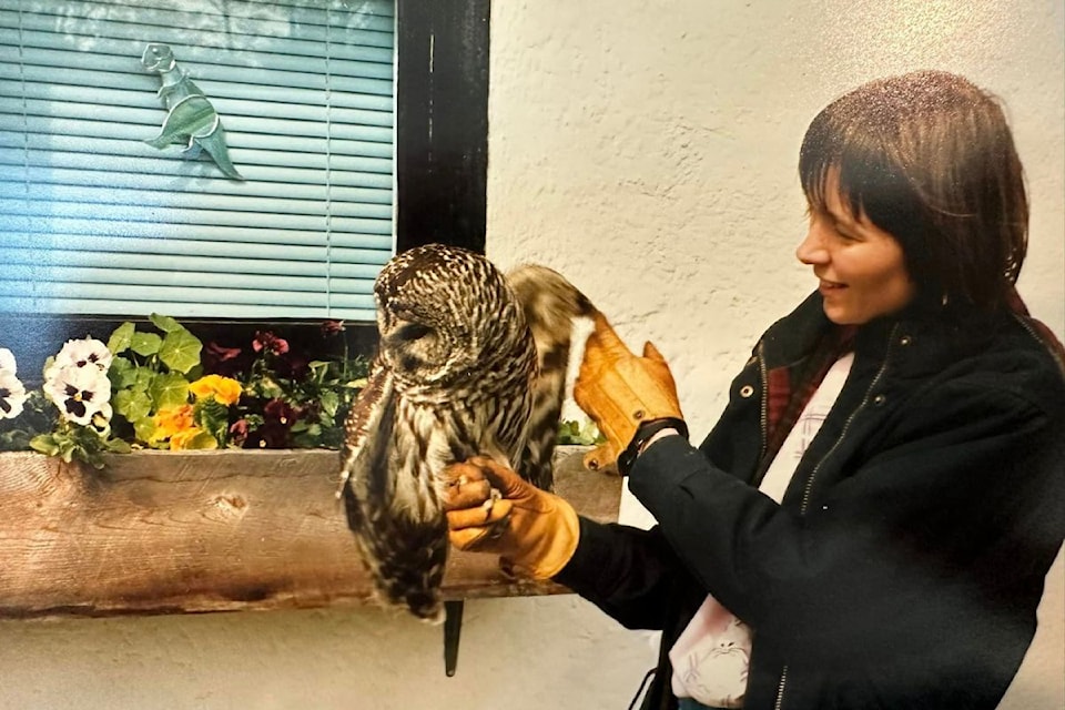 Prior to the opening of Wild ARC, Saseenos Veterinary Services was likely the only clinic on the South Island that took wildlife cases.