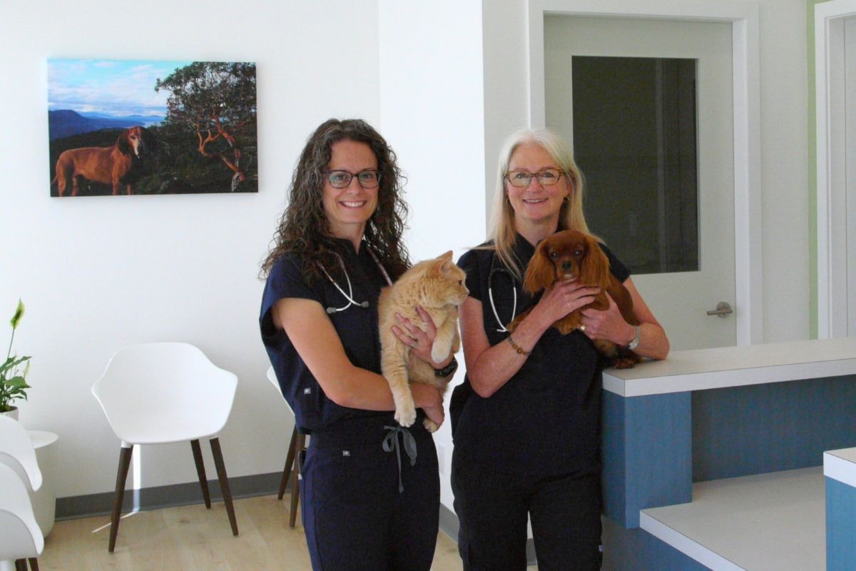 Local veterinarians create thoughtful hospital for downtown Sidney community