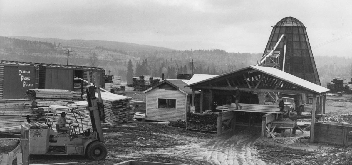 A historical photo from 1952's forestry industry.