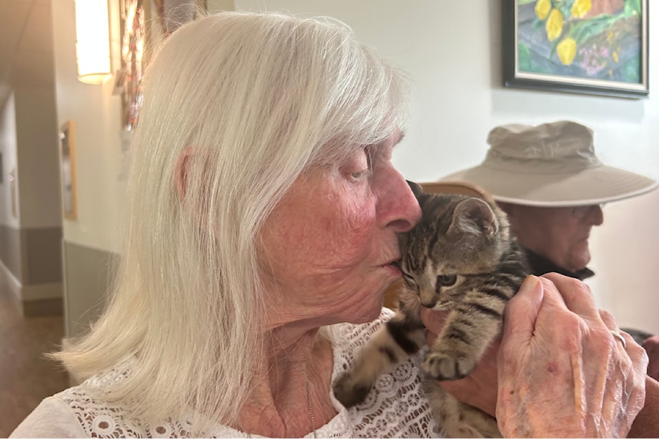 Residents of Providence Living's Comox long-term care facility enjoy visits by kittens. Similar experiences are expected to take place at Providence's upcoming facility in Quesnel.