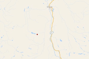 Update: Small wildfire discovered west of Alexandria