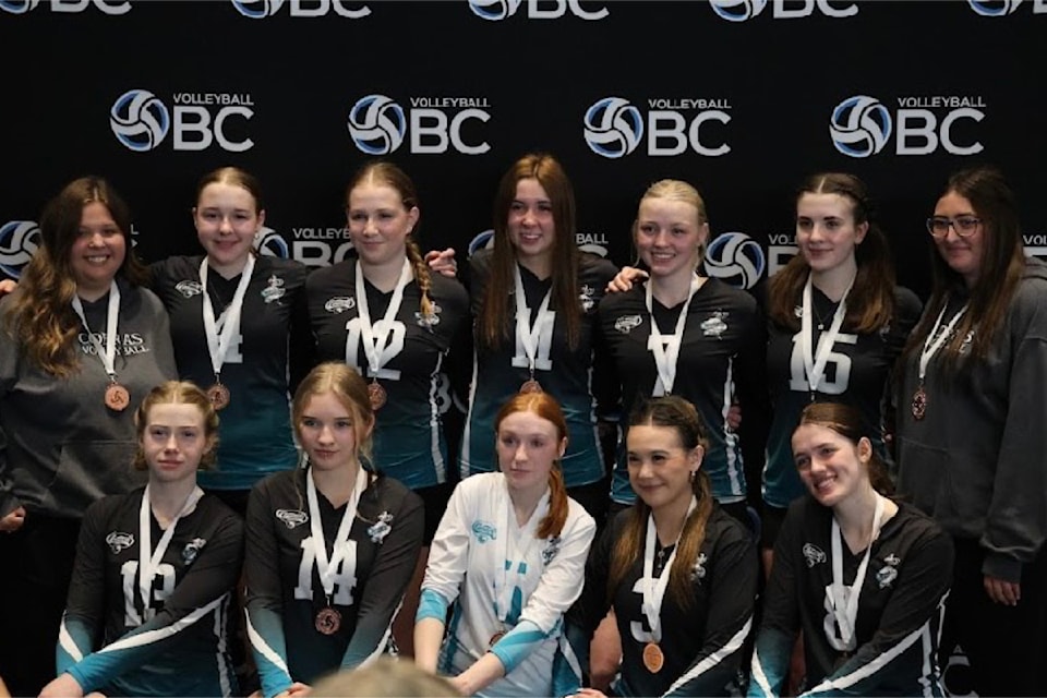 volleyball