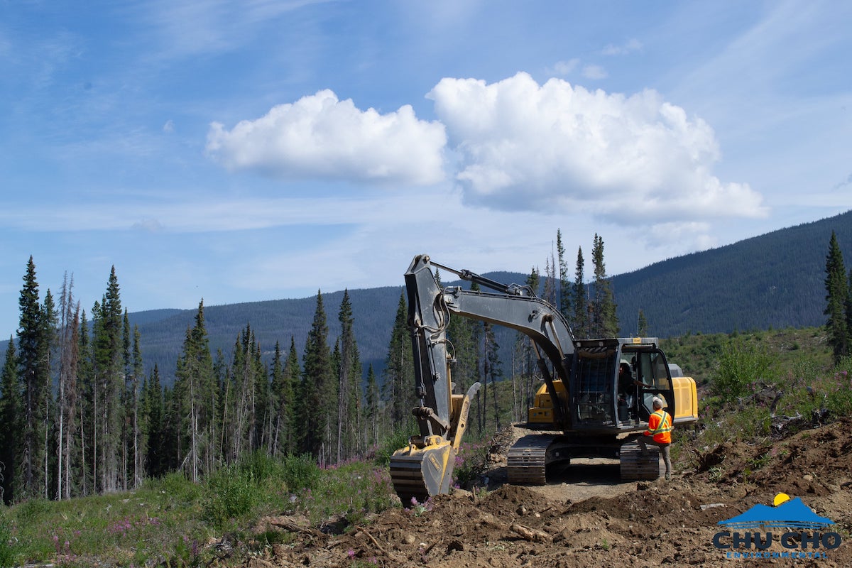 Caribou habitat restoration project gets over  million boost in northern B.C.