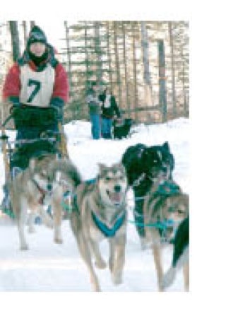 2983NewS.27.20110118133916.musher_20110119