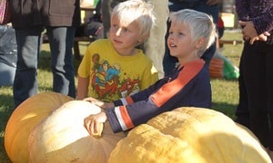 47651quesnelBoyswithpumpkins